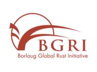 BGRI Client Logo